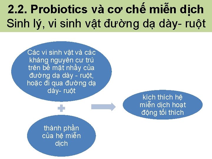 2. 2. Probiotics và cơ chế miễn dịch Sinh lý, vi sinh vật đường