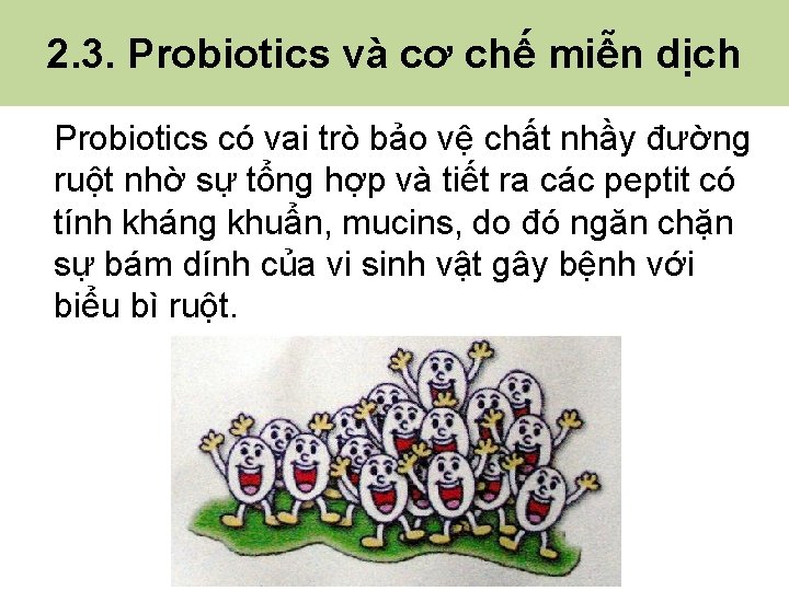 2. 3. Probiotics và cơ chế miễn dịch Probiotics có vai trò bảo vệ