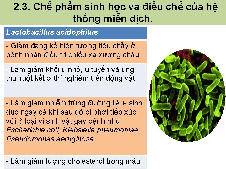  2. 3. Chế phẩm sinh học và điều chế của hệ thống miễn