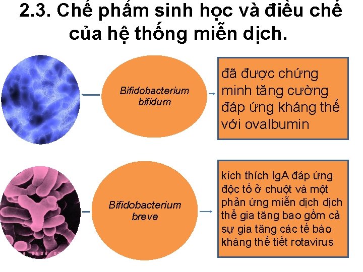  2. 3. Chế phẩm sinh học và điều chế của hệ thống miễn