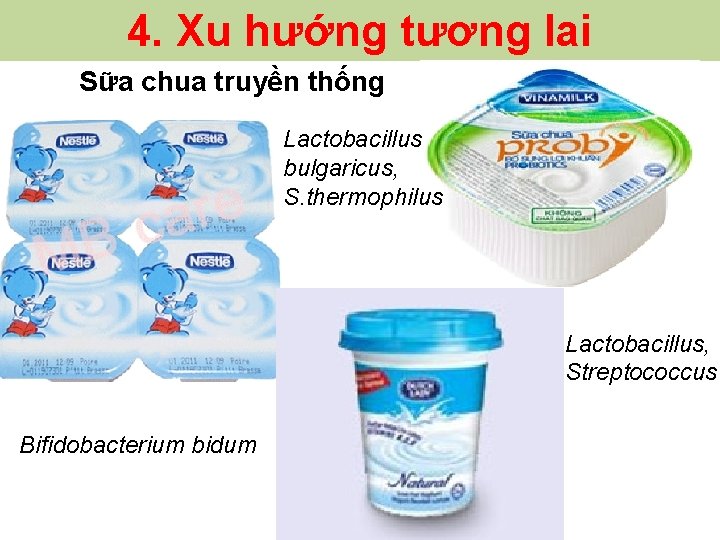 4. Xu hướng tương lai Sữa chua truyền thống Lactobacillus bulgaricus, S. thermophilus Lactobacillus,