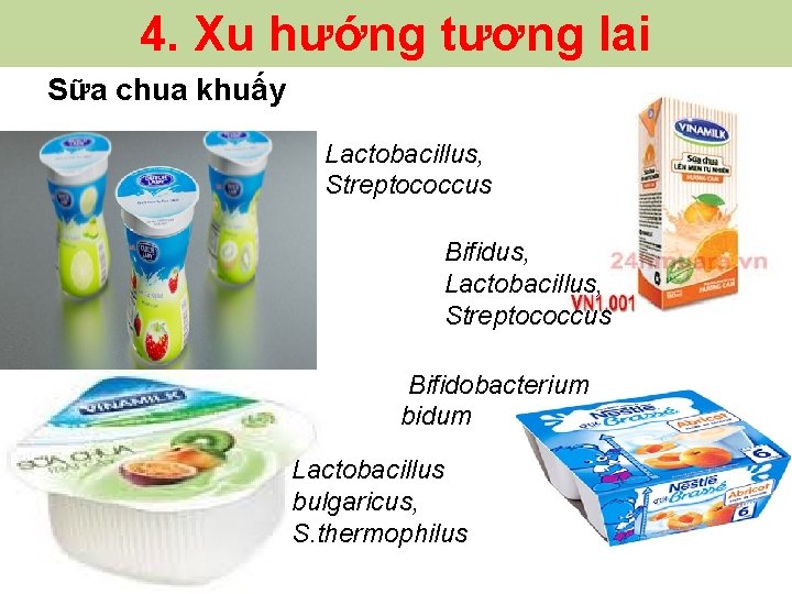 4. Xu hướng tương lai Sữa chua khuấy Lactobacillus, Streptococcus Bifidus, Lactobacillus, Streptococcus Bifidobacterium