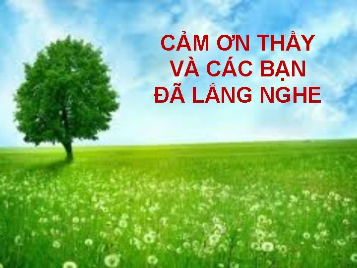 CẢM ƠN THẦY VÀ CÁC BẠN ĐÃ LẮNG NGHE 