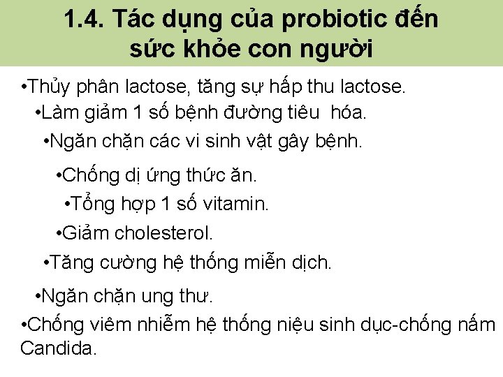 1. 4. Tác dụng của probiotic đến sức khỏe con người • Thủy phân