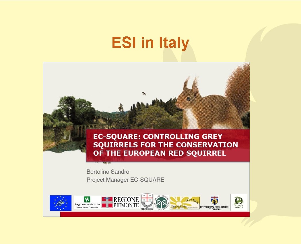 ESI in Italy 