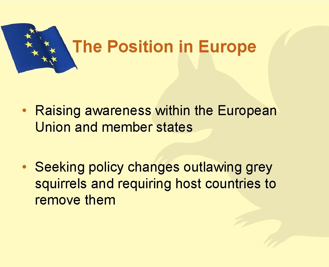 The Position in Europe • Raising awareness within the European Union and member states