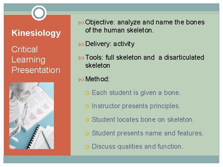  Objective: analyze and name the bones Kinesiology Critical Learning Presentation of the human