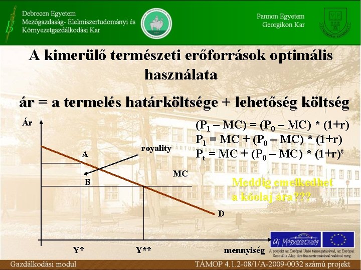 A kimerülő természeti erőforrások optimális használata ár = a termelés határköltsége + lehetőség költség