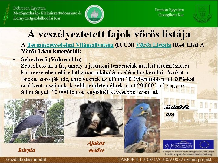 A veszélyeztetett fajok vörös listája A Természetvédelmi Világszövetség (IUCN) Vörös Listája (Red List) A