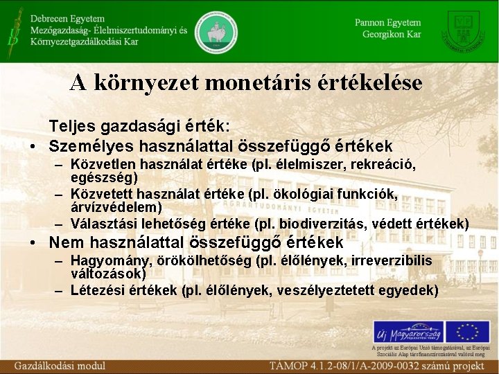 A környezet monetáris értékelése Teljes gazdasági érték: • Személyes használattal összefüggő értékek – Közvetlen