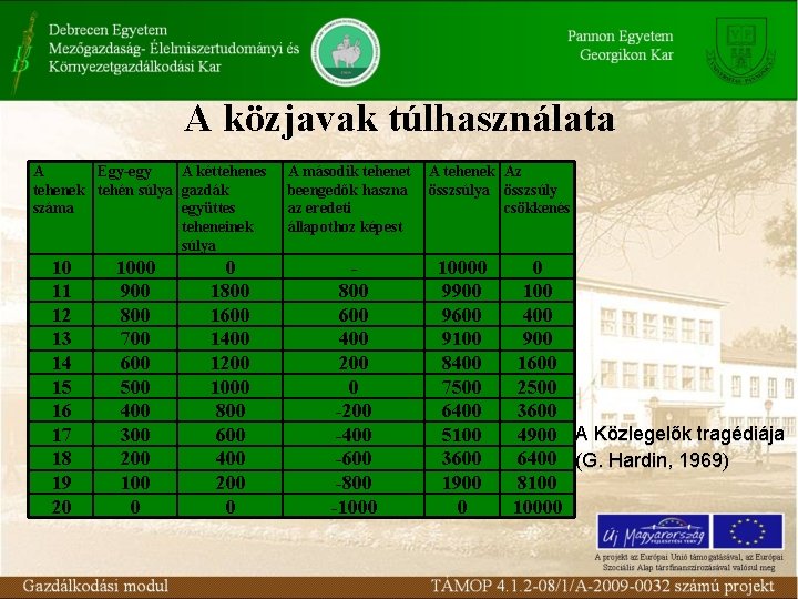 A közjavak túlhasználata A Egy-egy A kéttehenes tehenek tehén súlya gazdák száma együttes teheneinek