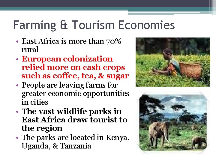 Farming & Tourism Economies • East Africa is more than 70% rural • European