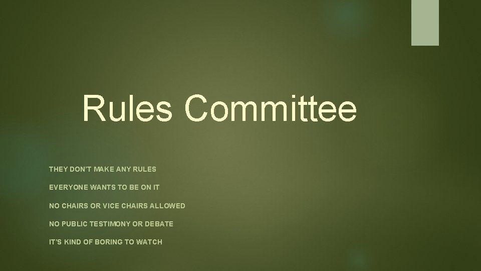 Rules Committee THEY DON’T MAKE ANY RULES EVERYONE WANTS TO BE ON IT NO