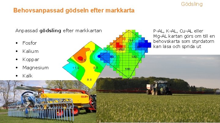 Gödsling Behovsanpassad gödseln efter markkarta Anpassad gödsling efter markkartan • Fosfor • Kalium •