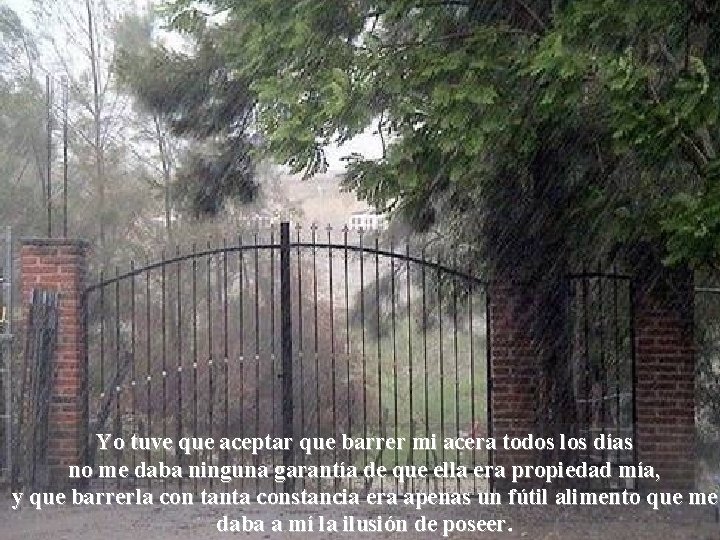 Yo tuve que aceptar que barrer mi acera todos los días no me daba