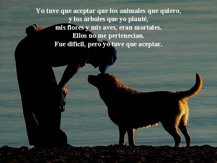 Yo tuve que aceptar que los animales que quiero, y los árboles que yo