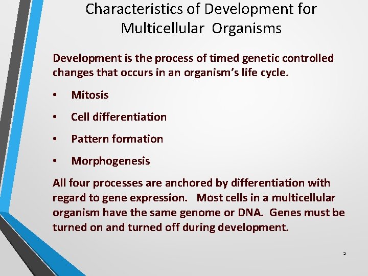 Characteristics of Development for Multicellular Organisms Development is the process of timed genetic controlled Characteristics of Development for Multicellular Organisms Development is the process of timed genetic controlled