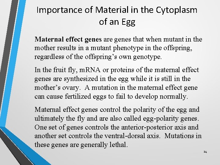 Importance of Material in the Cytoplasm of an Egg Maternal effect genes are genes Importance of Material in the Cytoplasm of an Egg Maternal effect genes are genes