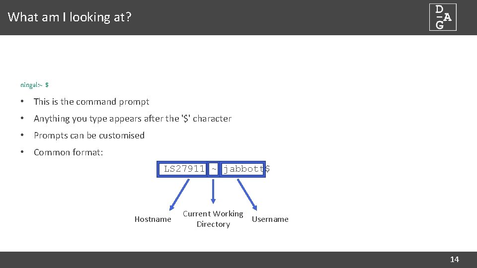 What am I looking at? ningal: ~ $ • This is the command prompt