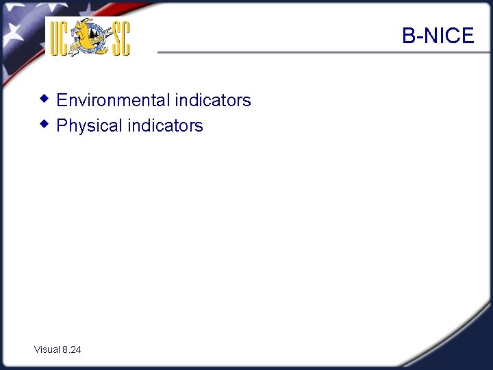 B-NICE w Environmental indicators w Physical indicators Visual 8. 24 