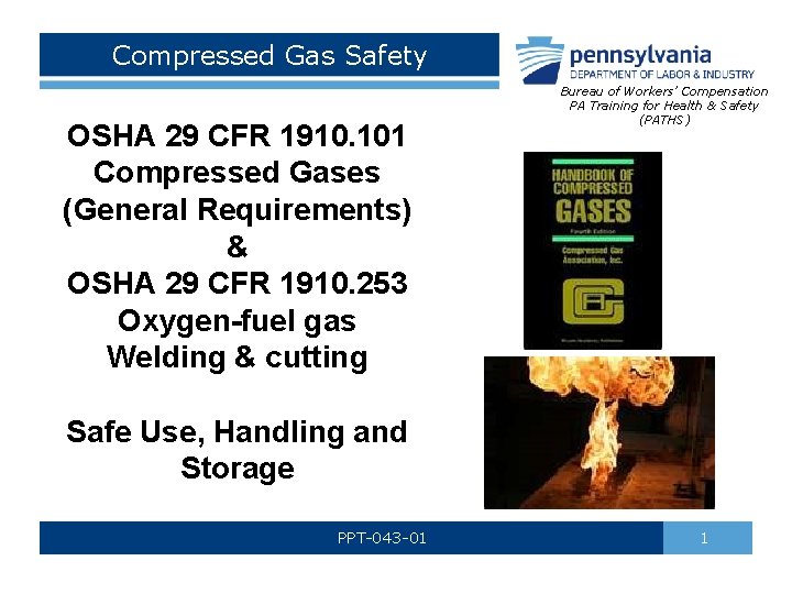 Compressed Gas Safety OSHA 29 CFR 1910. 101 Compressed Gases (General Requirements) & OSHA