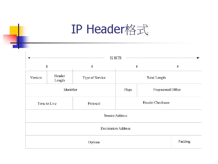 IP Header格式 