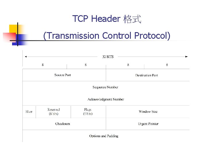 TCP Header 格式 (Transmission Control Protocol) 