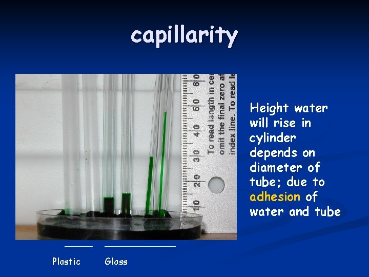 capillarity Height water will rise in cylinder depends on diameter of tube; due to