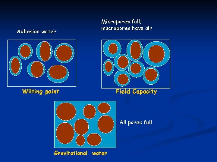 Adhesion water Micropores full; macropores have air Wilting point Field Capacity All pores full