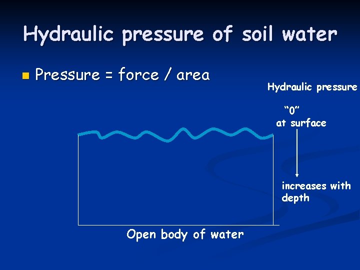 Hydraulic pressure of soil water n Pressure = force / area Hydraulic pressure “