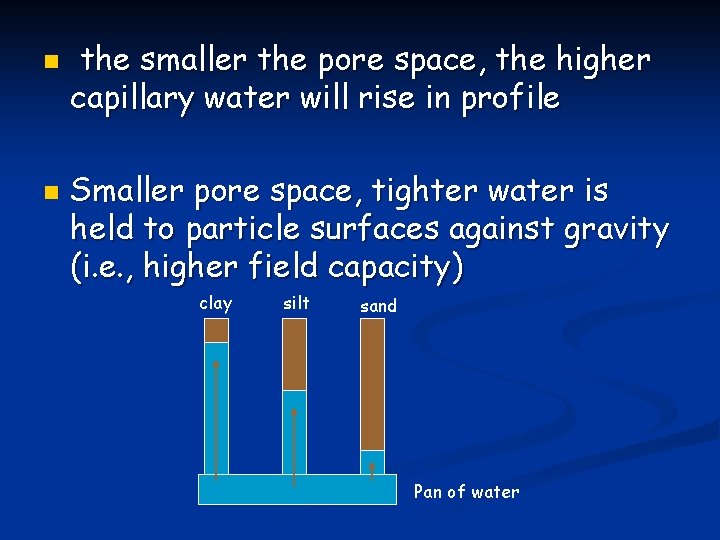 n n the smaller the pore space, the higher capillary water will rise in