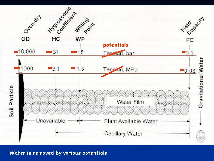 potentials Water is removed by various potentials 