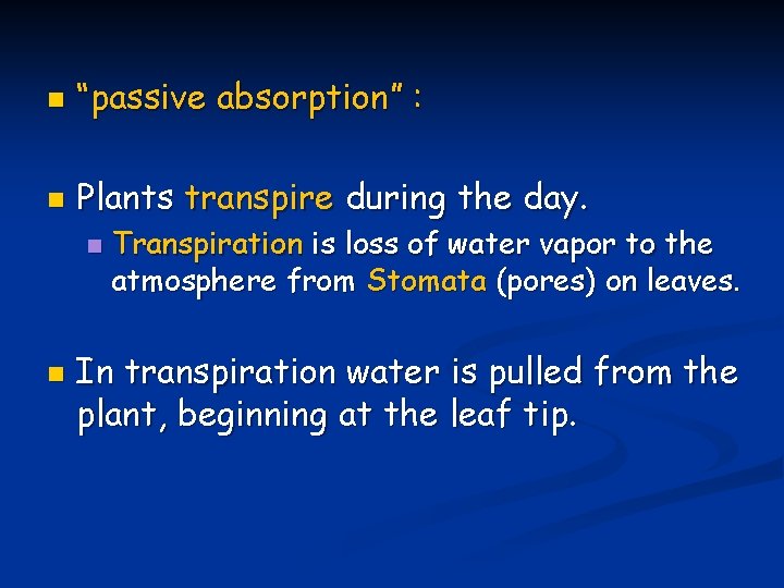 n “passive absorption” : n Plants transpire during the day. n n Transpiration is