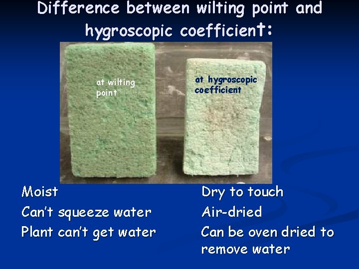 Difference between wilting point and hygroscopic coefficient: at wilting point Moist Can’t squeeze water