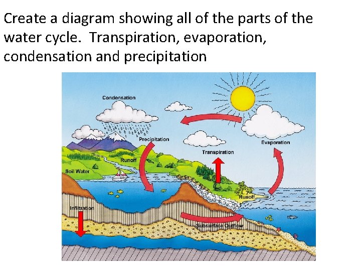 Create a diagram showing all of the parts of the water cycle. Transpiration, evaporation,