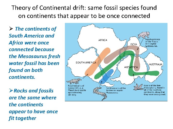 Theory of Continental drift: same fossil species found on continents that appear to be