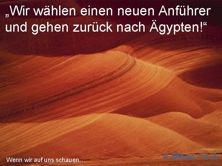 „Wir wählen einen neuen Anführer und gehen zurück nach Ägypten!“ Wenn wir auf uns