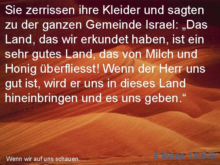 Sie zerrissen ihre Kleider und sagten zu der ganzen Gemeinde Israel: „Das Land, das