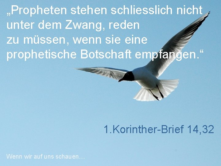 „Propheten stehen schliesslich nicht unter dem Zwang, reden zu müssen, wenn sie eine prophetische