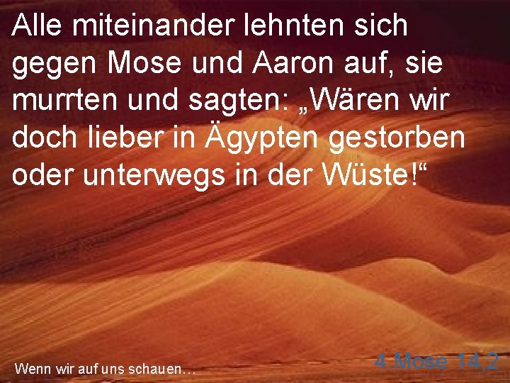 Alle miteinander lehnten sich gegen Mose und Aaron auf, sie murrten und sagten: „Wären