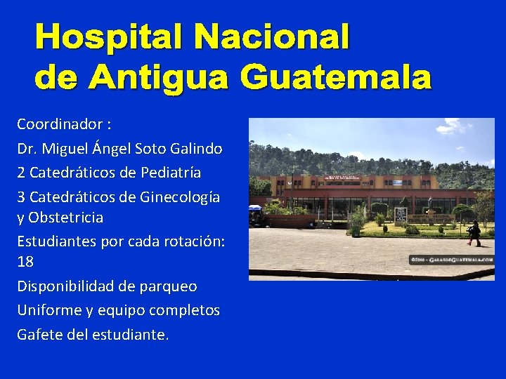 Coordinador : Dr. Miguel Ángel Soto Galindo 2 Catedráticos de Pediatría 3 Catedráticos de