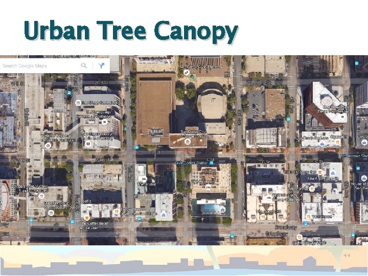 Urban Tree Canopy 44 