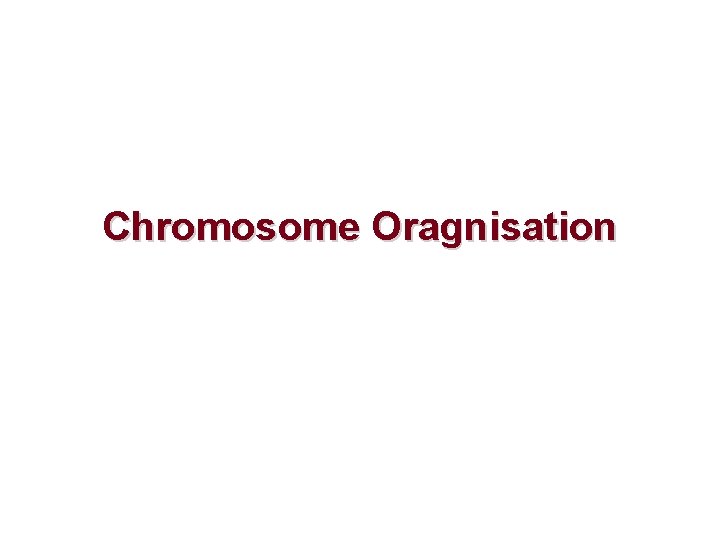 Chromosome Oragnisation 