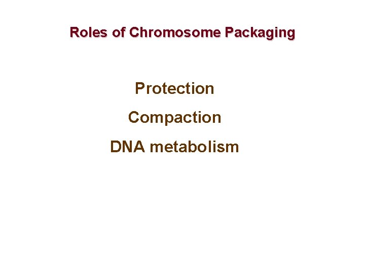 Roles of Chromosome Packaging Protection Compaction DNA metabolism 