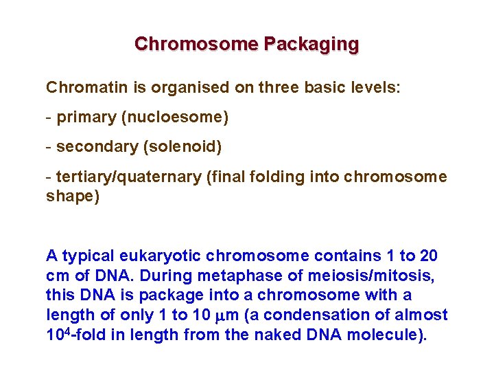 Chromosome Packaging Chromatin is organised on three basic levels: - primary (nucloesome) - secondary