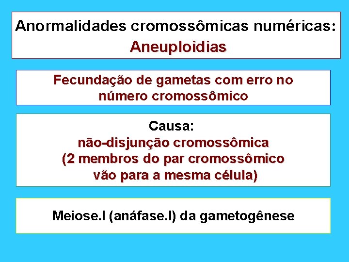 Anormalidades cromossômicas numéricas: Aneuploidias Fecundação de gametas com erro no número cromossômico Causa: não-disjunção