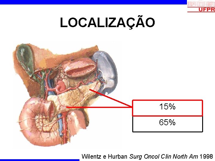 LOCALIZAÇÃO 15% 65% Wilentz e Hurban Surg Oncol Clin North Am 1998 
