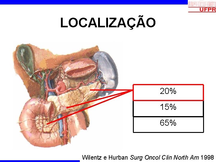 LOCALIZAÇÃO 20% 15% 65% Wilentz e Hurban Surg Oncol Clin North Am 1998 