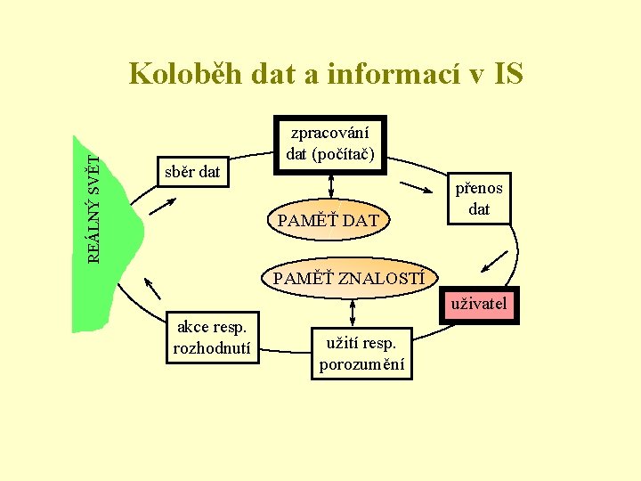 REÁLNÝ SVĚT Koloběh dat a informací v IS sběr dat zpracování dat (počítač) PAMĚŤ