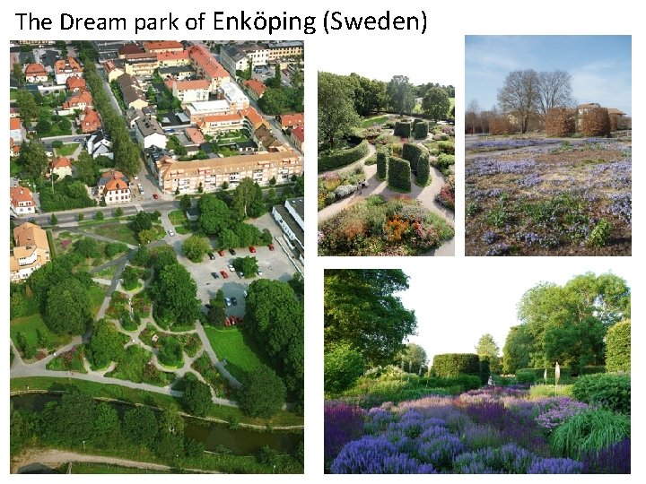 The Dream park of Enköping (Sweden) 